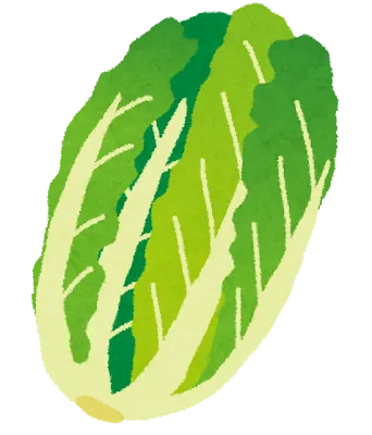 白菜で叶える美肌と健康効果